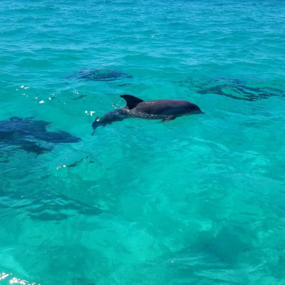 Meet your Posher, Christian